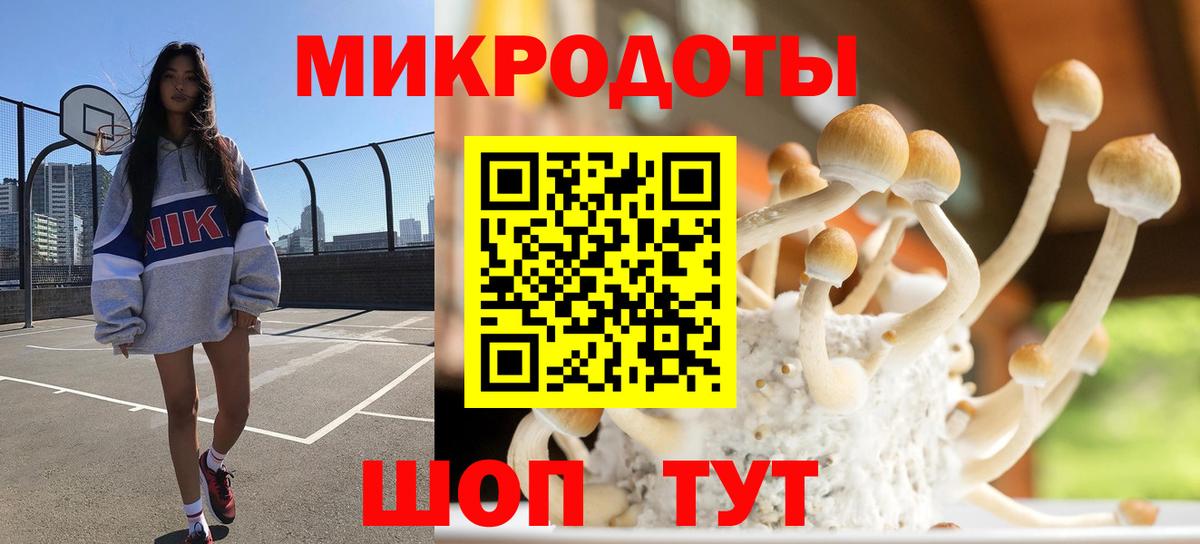 Щёлково  Псилоцибиновые грибы Cubensis  Вход с VPN 